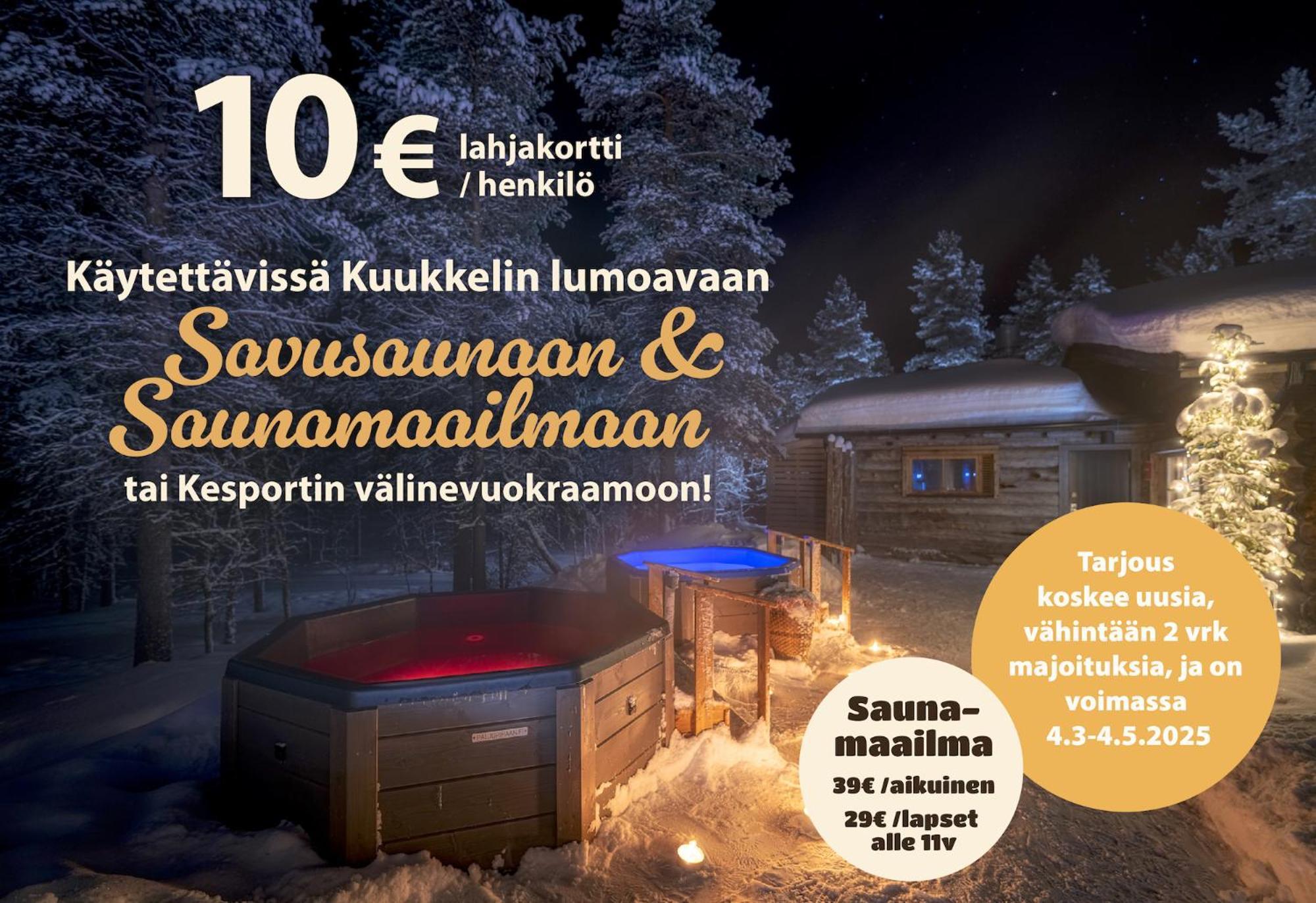 Kuukkeli Log Houses Teerenpesae - Premium Suite A48 サーリセルカ エクステリア 写真